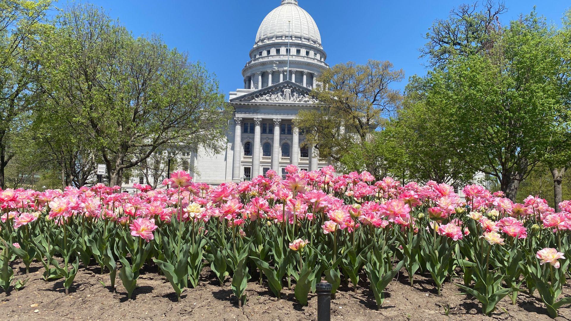 Republicans dismiss Evers’ special session on childcare