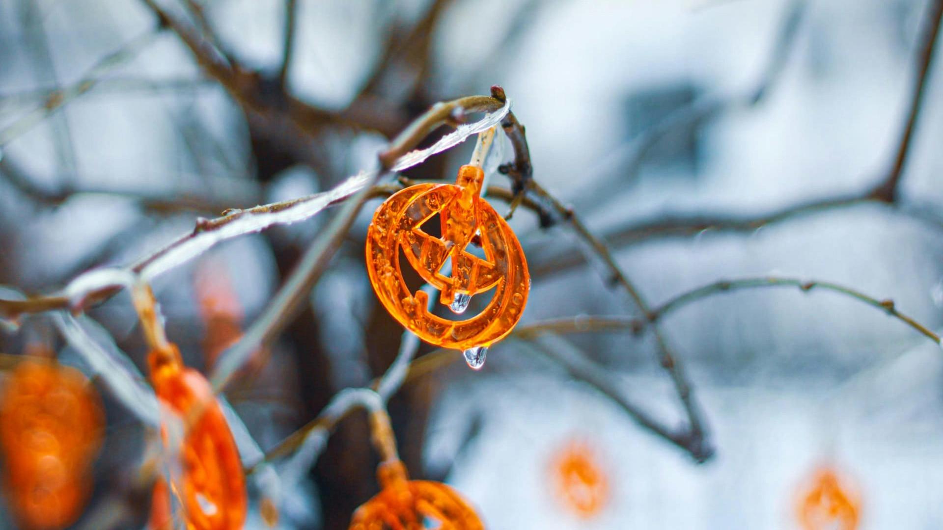 Trick-or-Treat Weather: Wind and Winter Weather Advisories